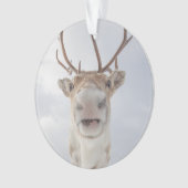 Rentier Nature Foto Ornament (Vorderseite)