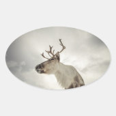 Rentier Nature Foto Ovaler Aufkleber (Vorderseite)