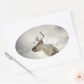 Rentier Nature Foto Ovaler Aufkleber (Umschlag)