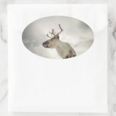 Rentier Nature Foto Ovaler Aufkleber (Tasche)