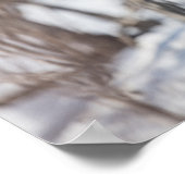 Rentier Nature Foto Poster (Ecke)