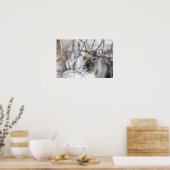Rentier Nature Foto Poster (Küche)
