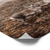 Rentier Nature Foto Poster (Ecke)