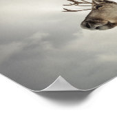 Rentier Nature Foto Poster (Ecke)