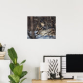 Rentier Nature Foto Poster (Heimbüro)
