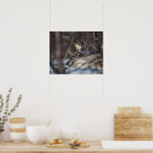 Rentier Nature Foto Poster (Küche)