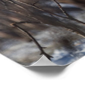 Rentier Nature Foto Poster (Ecke)