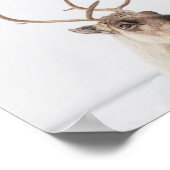 Rentier Nature Foto Poster (Ecke)