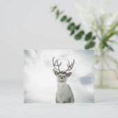 Rentier Nature Foto Postkarte (Stehend Vorderseite)