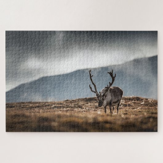 Rentier Nature Foto Puzzle (Horizontal)