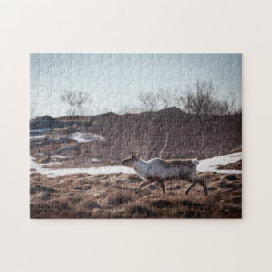 Rentier Nature Foto Puzzle
