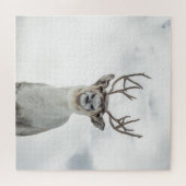Rentier Nature Foto Puzzle (Horizontal)