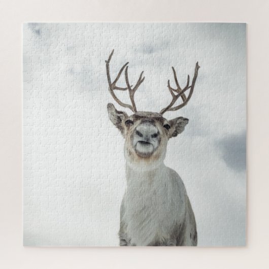 Rentier Nature Foto Puzzle (Vertikal)
