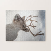 Rentier Nature Foto Puzzle (Horizontal)