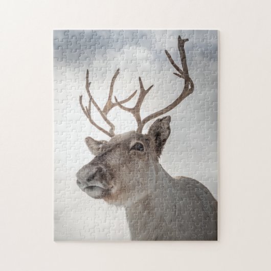 Rentier Nature Foto Puzzle (Vertikal)