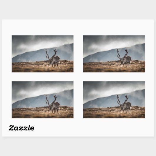 Rentier Nature Foto Rechteckiger Aufkleber (Blatt)