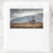 Rentier Nature Foto Rechteckiger Aufkleber (Tasche)