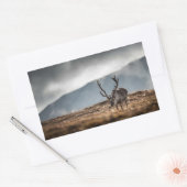 Rentier Nature Foto Rechteckiger Aufkleber (Umschlag)