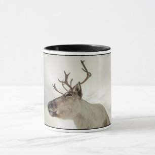 Rentier Nature Foto Tasse