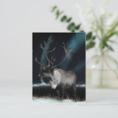Rentier of the Northern Lights Postcard Postkarte (Stehend Vorderseite)