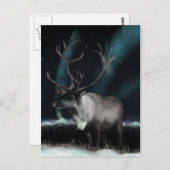 Rentier of the Northern Lights Postcard Postkarte (Vorne/Hinten)