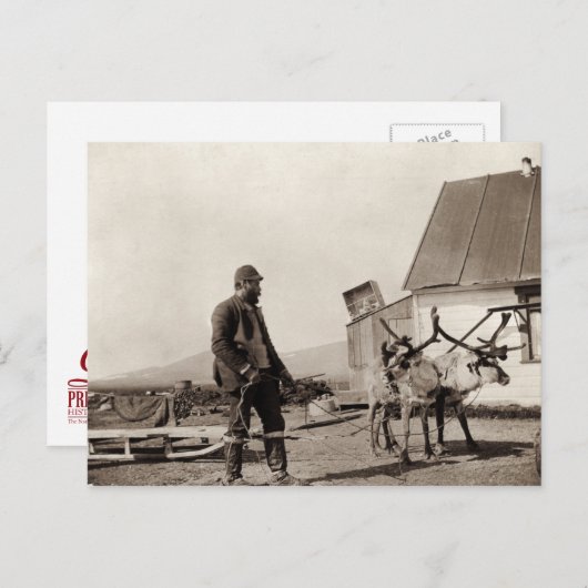 Rentier Postkarte (Vorne/Hinten)