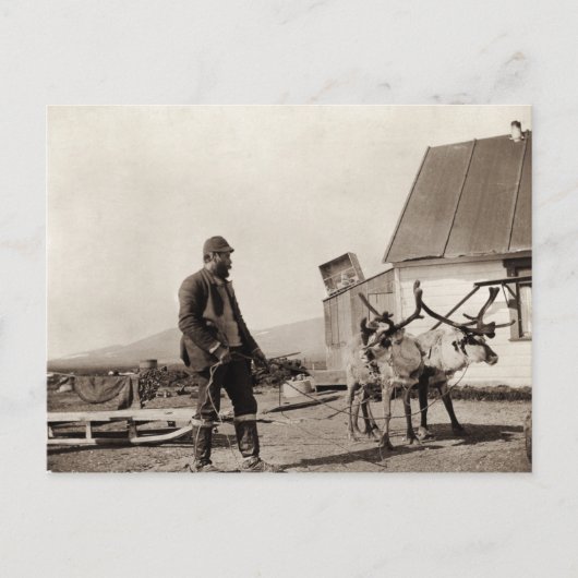 Rentier Postkarte (Vorderseite)