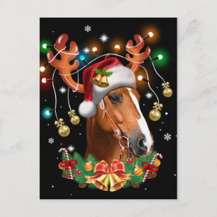 Pferd Horse   Postcard  ***    Postkarte  #  70 