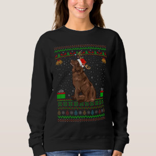 Rentier Weihnachtsmannmütze Matching Ugly Newfundl Sweatshirt