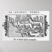 Rentiere Poster (Vorne)