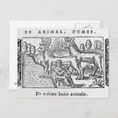 Rentiere Postkarte (Vorne/Hinten)