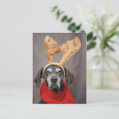 Rentiere Postkarte (Stehend Vorderseite)