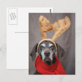 Rentiere Postkarte (Vorne/Hinten)