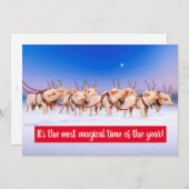 Rentiere Schweine Einladung (Vorne/Hinten)