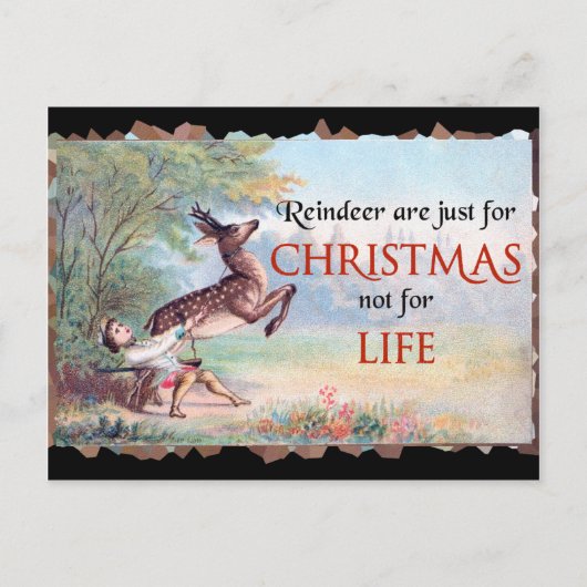 Rentiere sind nur für Vintage Weihnachtsfeier Postkarte (Vorderseite)