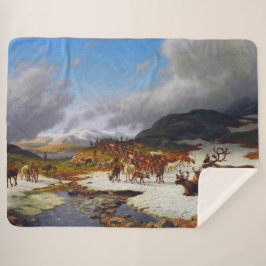 Rentierherde im Norden von Røros Sherpadecke