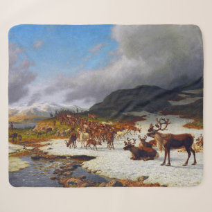 Rentierherde im Norden von Røros Sherpadecke