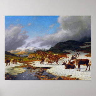 Rentierherde in den Bergen nördlich von Røros Poster