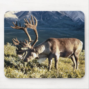 Rentierliebhaber Mousepad
