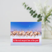 Rentierschweine Einladungspostkarte (Stehend Vorderseite)