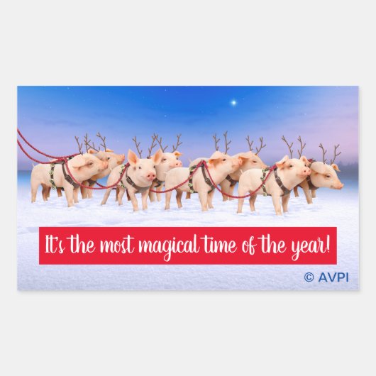 Rentierschweine Rechteckiger Aufkleber (Vorderseite)