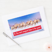 Rentierschweine Rechteckiger Aufkleber (Umschlag)