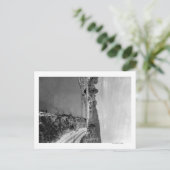 Renton, WA View the Cedar River Fotograph Postkarte (Stehend Vorderseite)