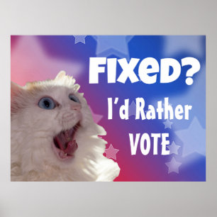 Repariert? Ich werde lieber wählen Poster
