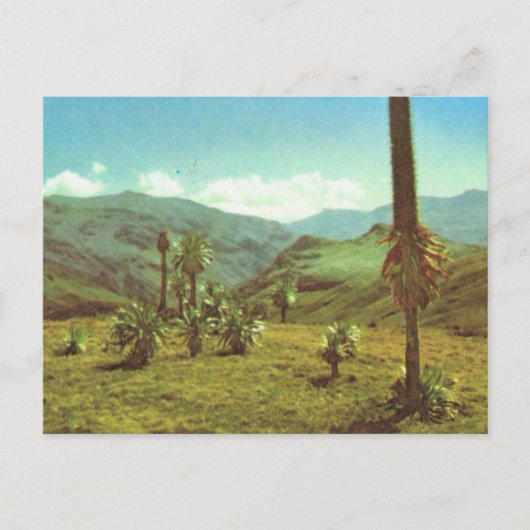 Replica Vintag Haute Semien, Äthiopien, 3750 m Postkarte (Vorderseite)