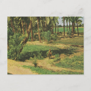 Replik Ägypten Vintage, Landwirtschaft im Nildelt Postkarte