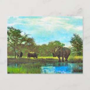 Replik Vintage-Nashorn, südafrikanisches Reservat Postkarte