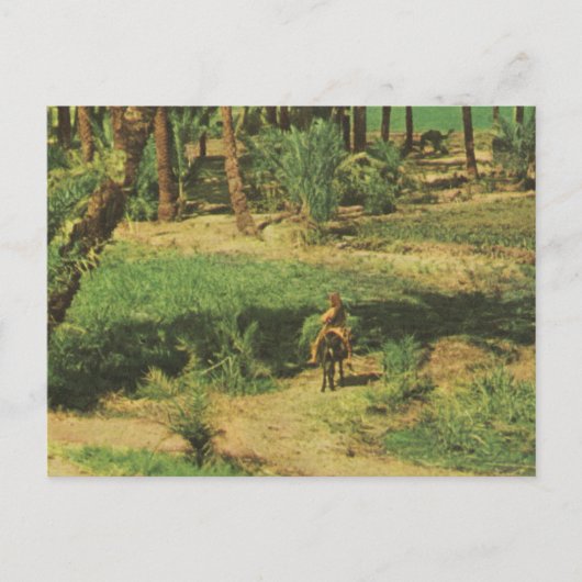 Replik Vintages Ägypten, Nildelagrarwirtschaft Postkarte (Vorderseite)