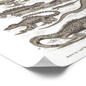 Replizierung Vintager Naturgeschichte Poster (Ecke)