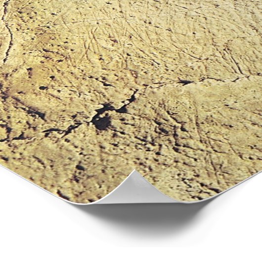 Representation of an animal, c.15000 BC Poster (Ecke)